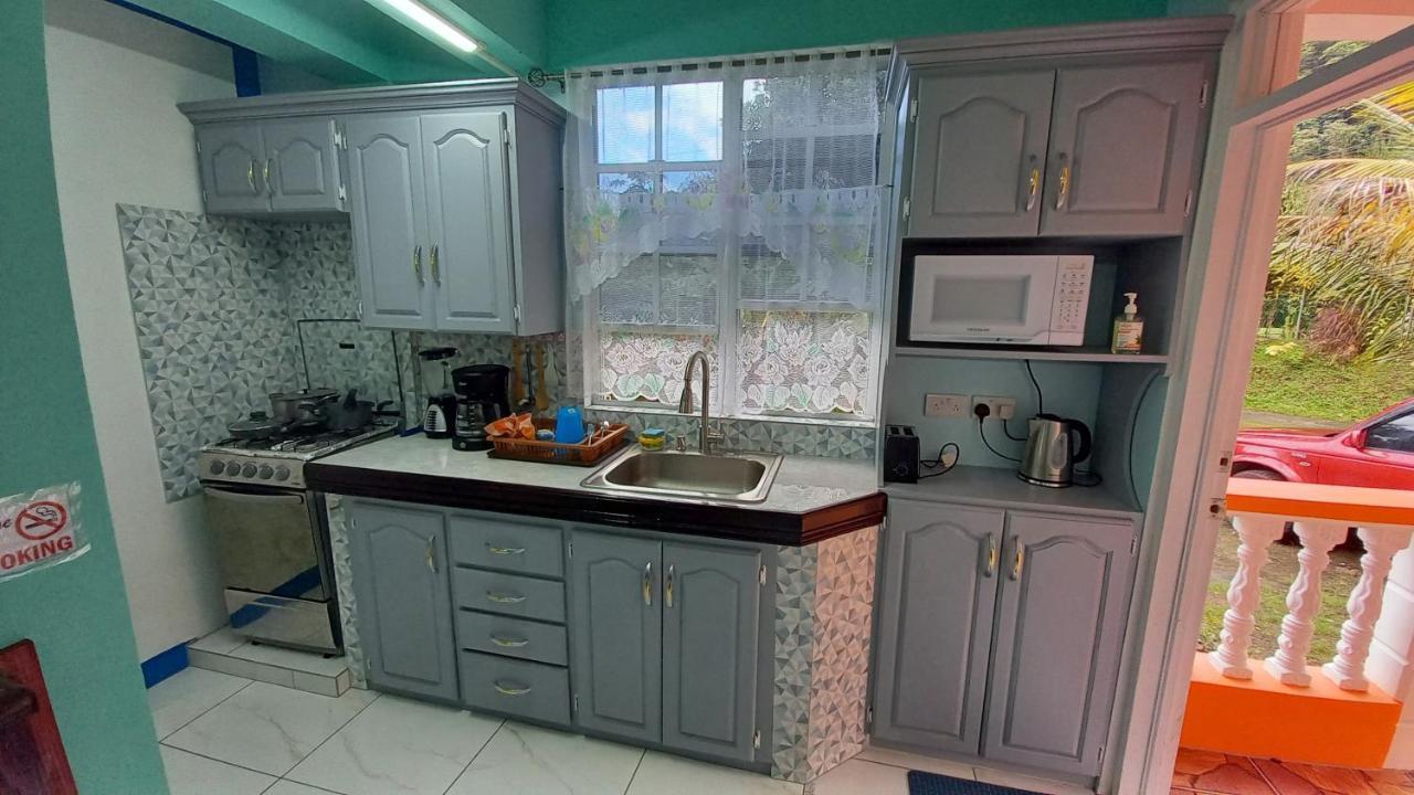 Cozy Vacation Retreat With Free Parking Apartman Roseau Kültér fotó