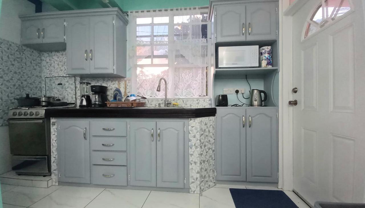 Cozy Vacation Retreat With Free Parking Apartman Roseau Kültér fotó